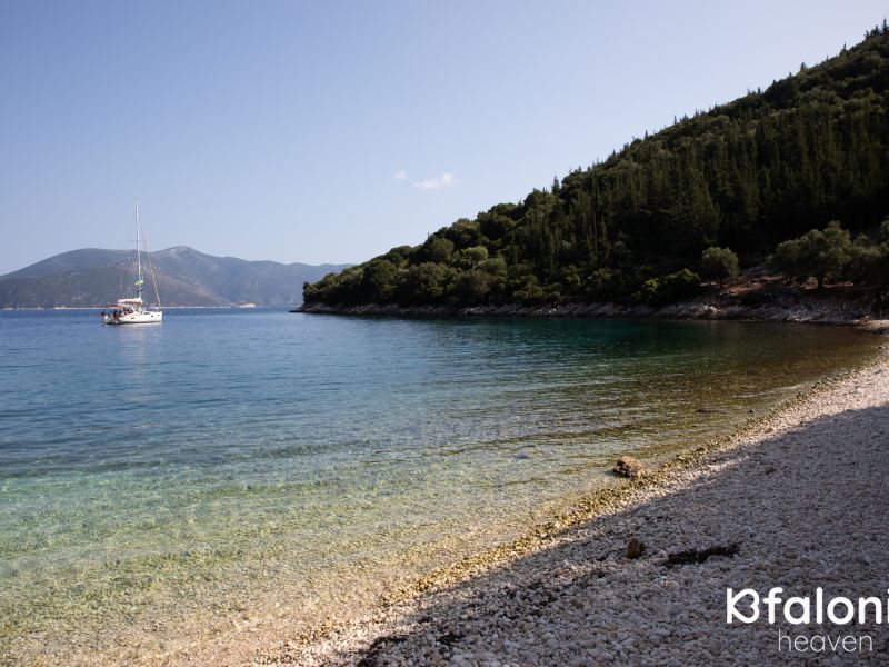 paral xorgota 12 040cef03