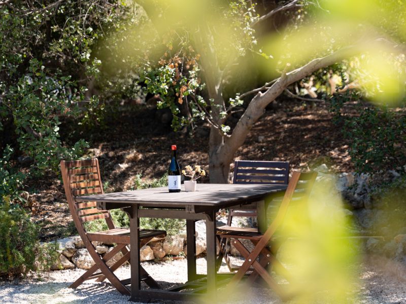 gentilini 12 0646872e