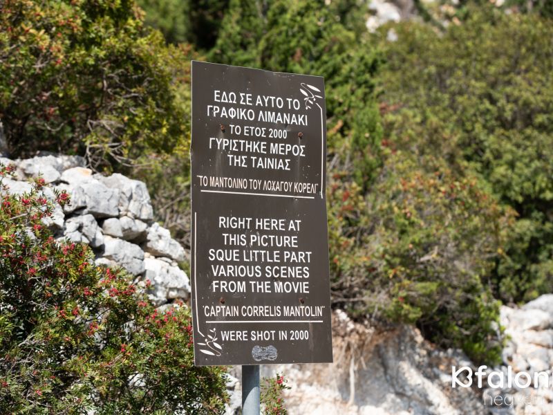 paral xorgota 15 0e498820