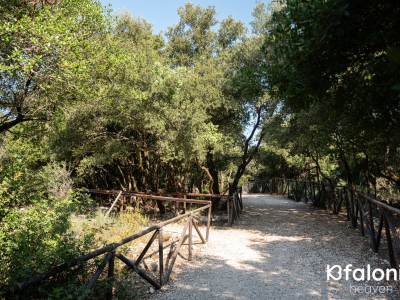 odysseas zoo land 017 1218218b