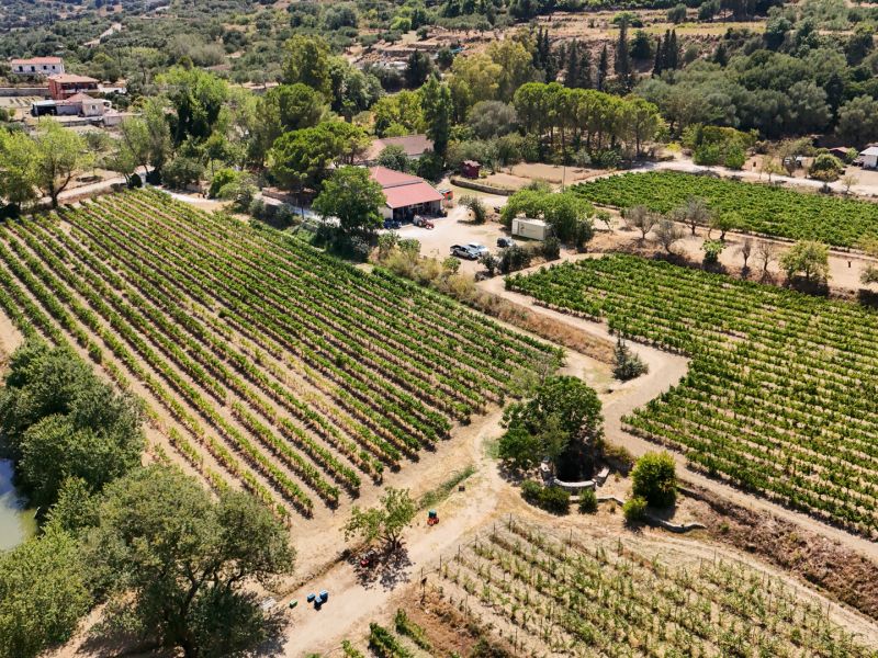 xaritatos 02 22919355