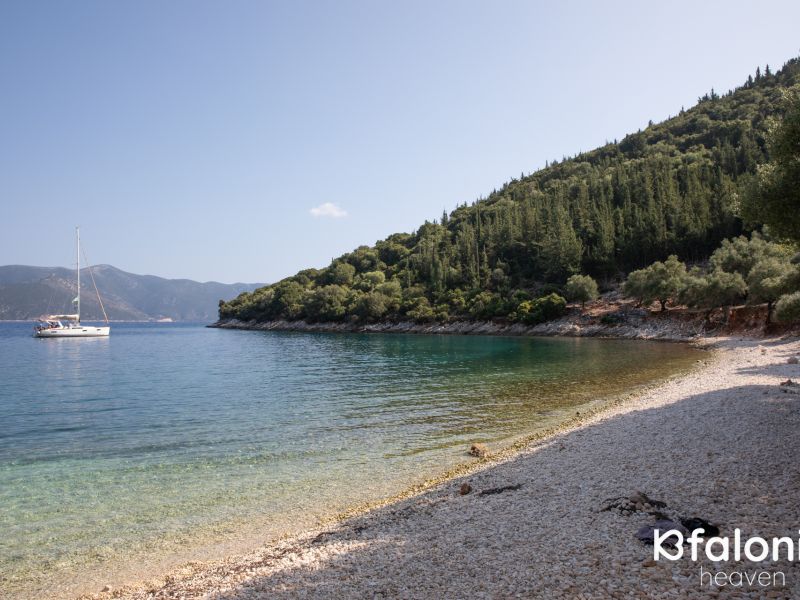 paral xorgota 08 26cb7a09