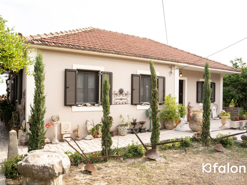 505310713 1566247571405320 5414692558220277683 n 2cc2531e