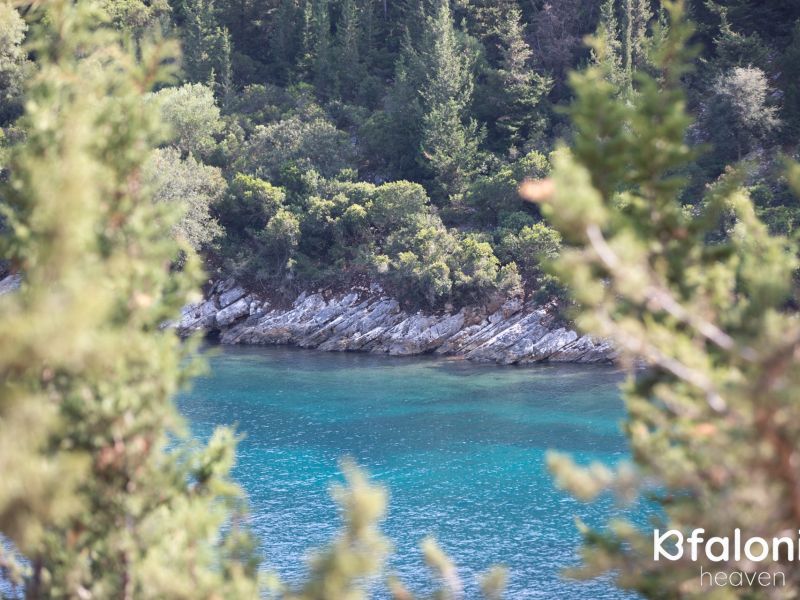 paral xorgota 16 2d437483