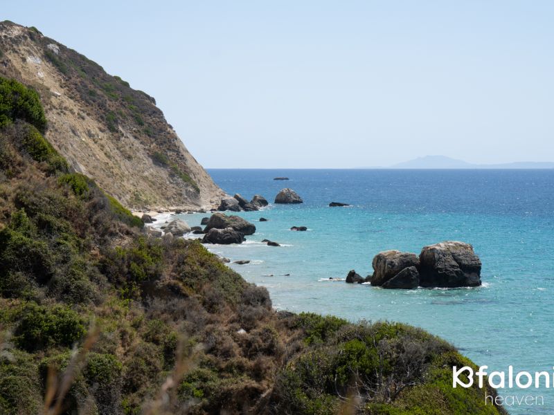 paliolinos 8 2e545de1