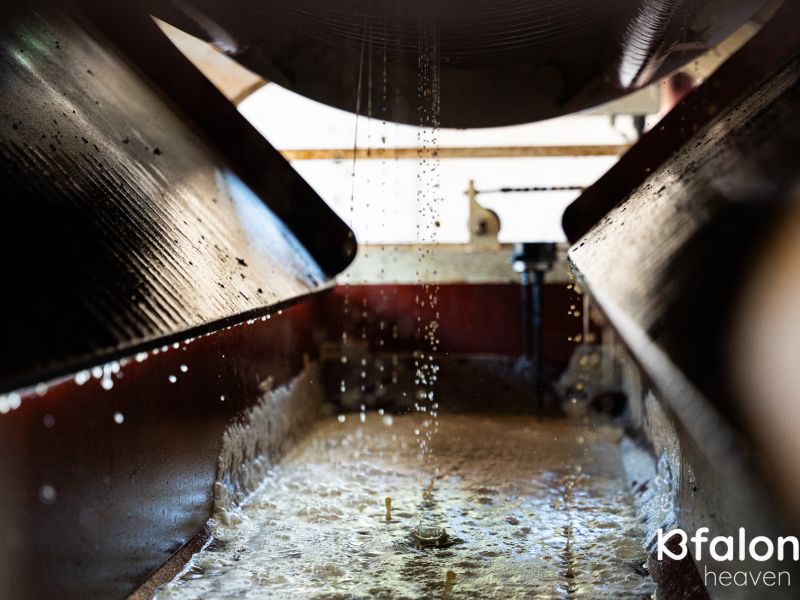 xaritatos 14 31a9770a