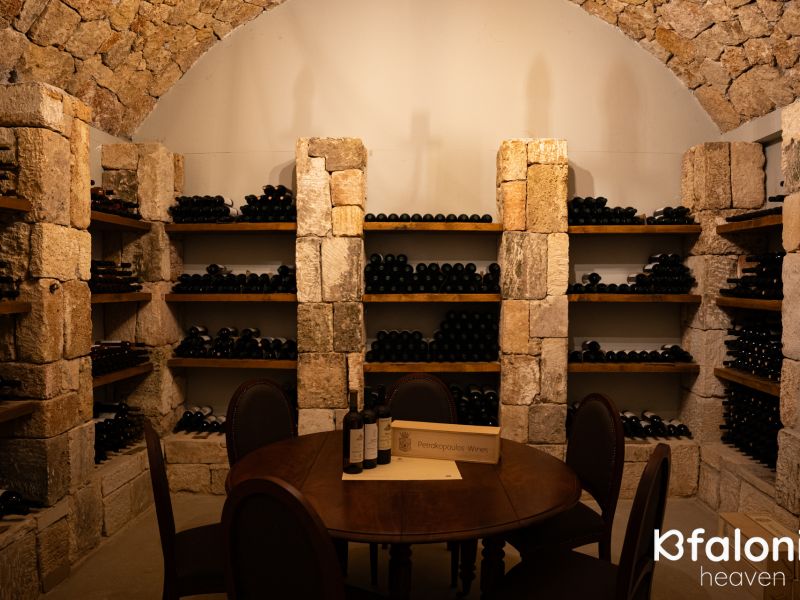 petrakopoulos 10 32d21210