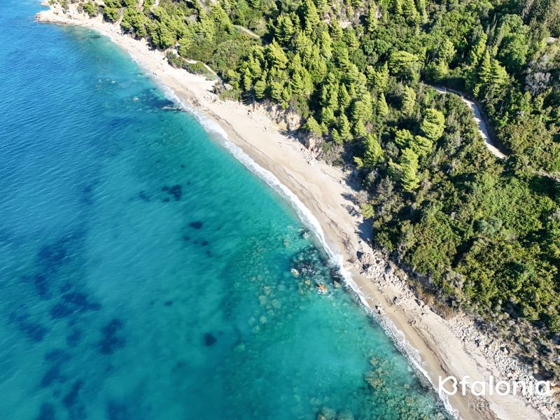 DJI 20241007103924 0058 D 3aa0f585