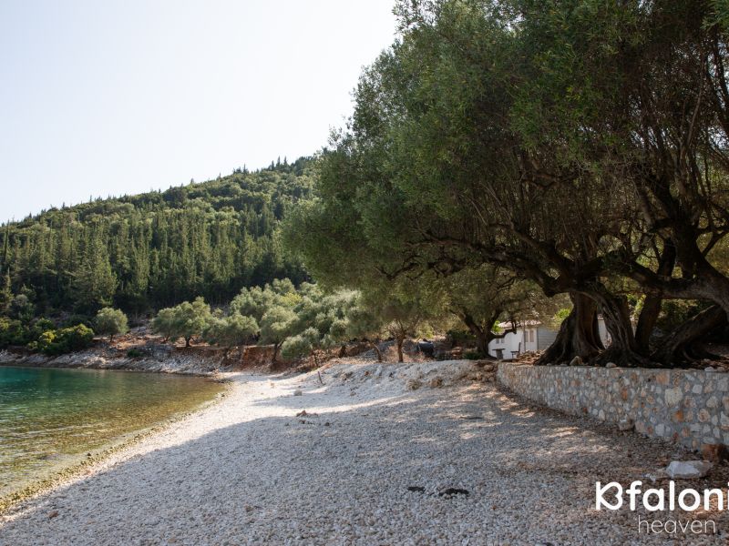 paral xorgota 13 3c9aa4cc