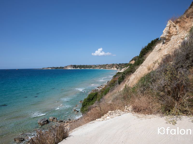 paliolinos 1 49474c20