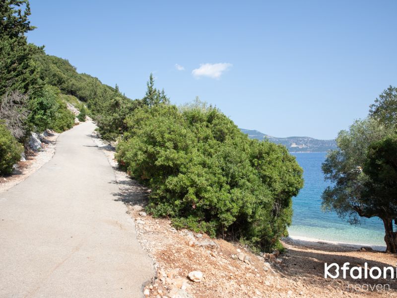 paral xorgota 02 4a394c50