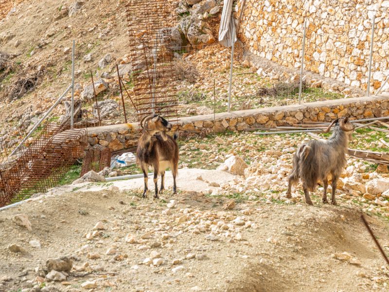 atros monastery 37 4dc75adb
