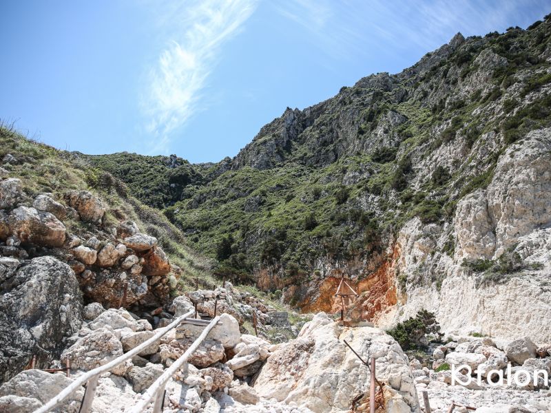 5D3 8380 56636424