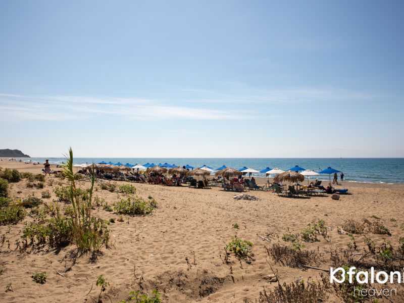 paral katelios 11 57eb17d5