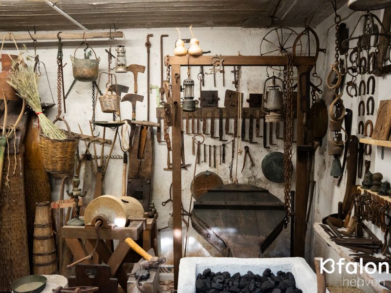 505206395 1566245821405495 1321925180570806544 n 5dd65003