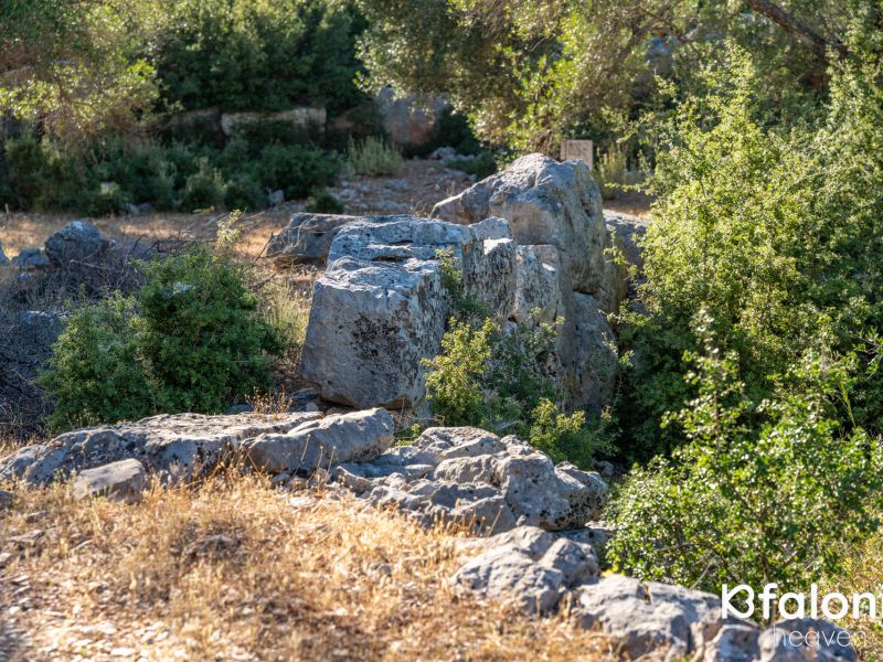 cyclopian wals 006 68247753