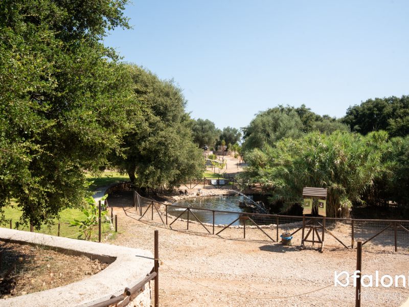 odysseas zoo land 034 6dd4379a