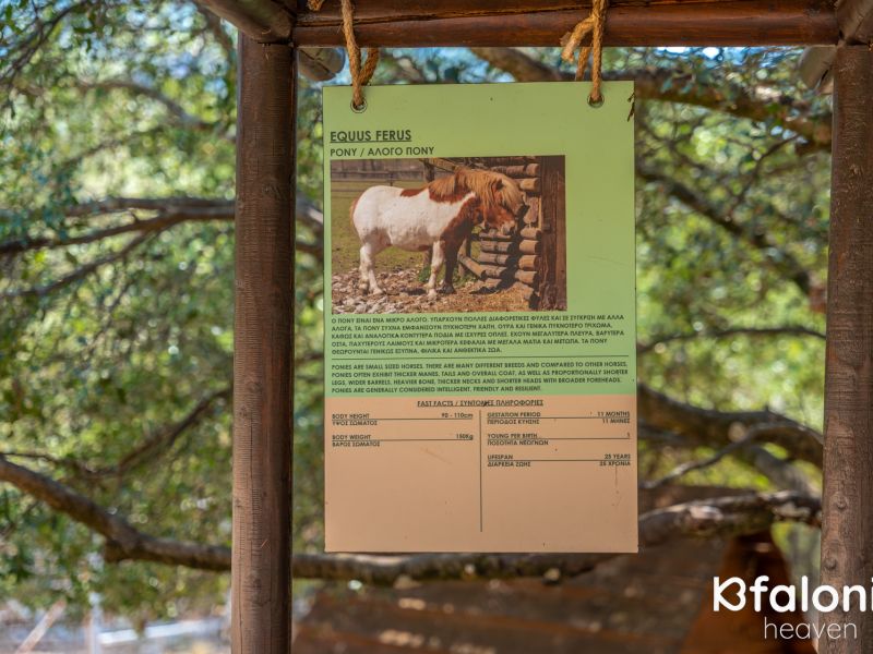 odysseas zoo land 035 6d04da04