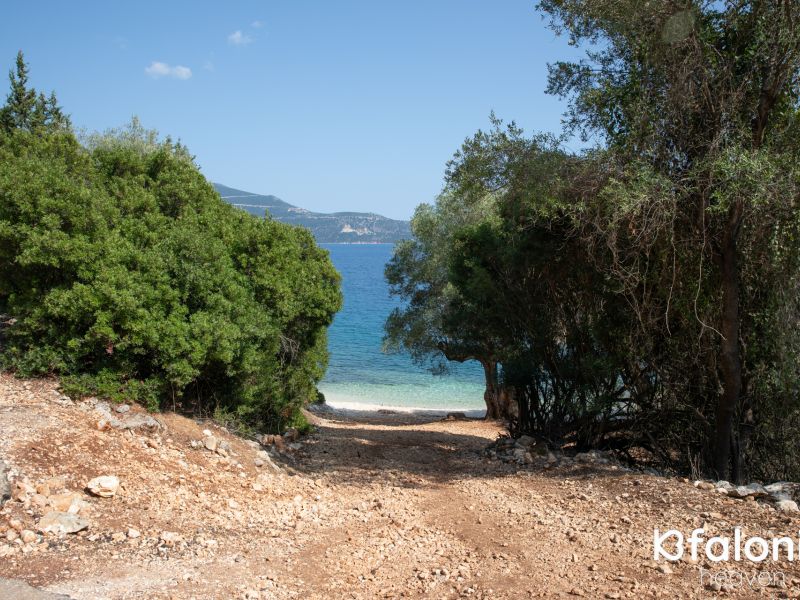 paral xorgota 01 702881b2