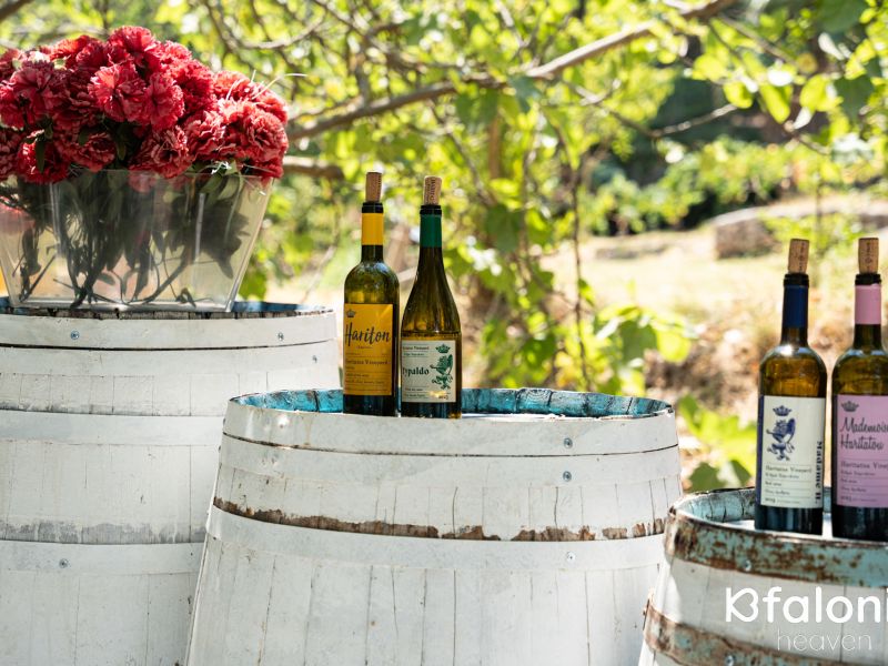 xaritatos 12 7aa6e342