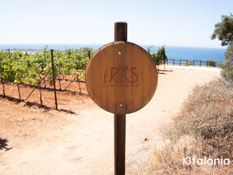 gentilini 03 7b159dc0