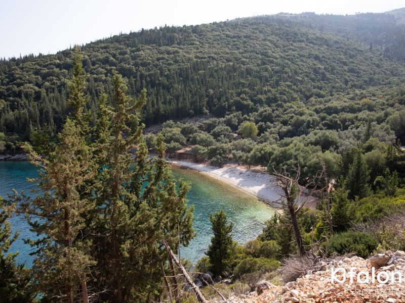 paral xorgota 17 7b2e86b6