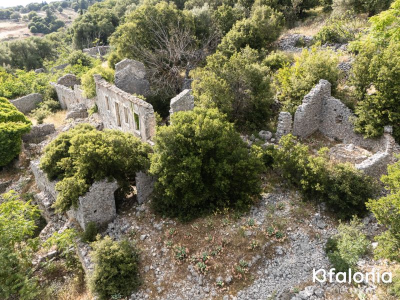 palia fragata 01 808ac5e3