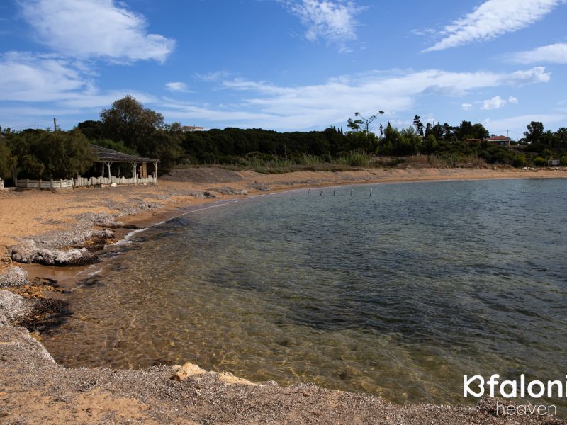 paralia vatsa 03 851d01d0