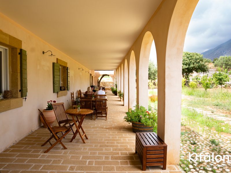 petrakopoulos 02 89756703