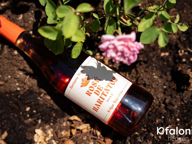 xaritatos 04 894bee03