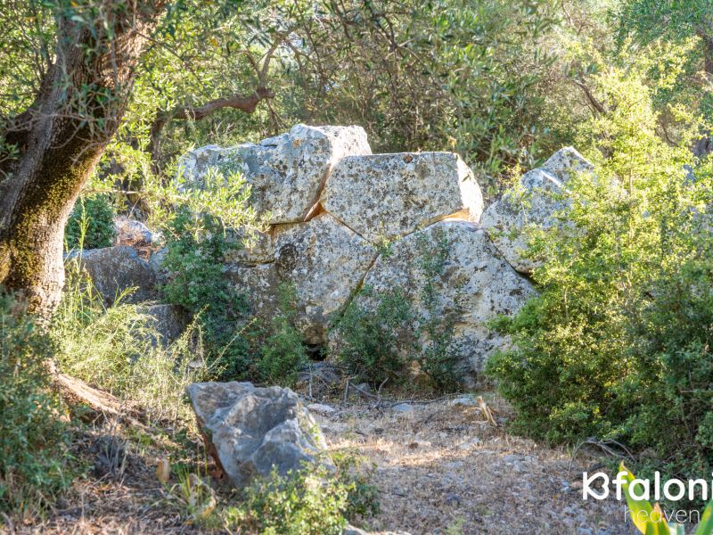 cyclopian wals 012 921beaf6