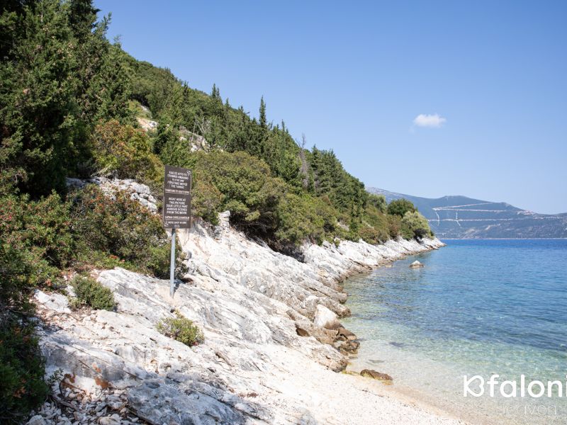 paral xorgota 07 a1e8ccb8