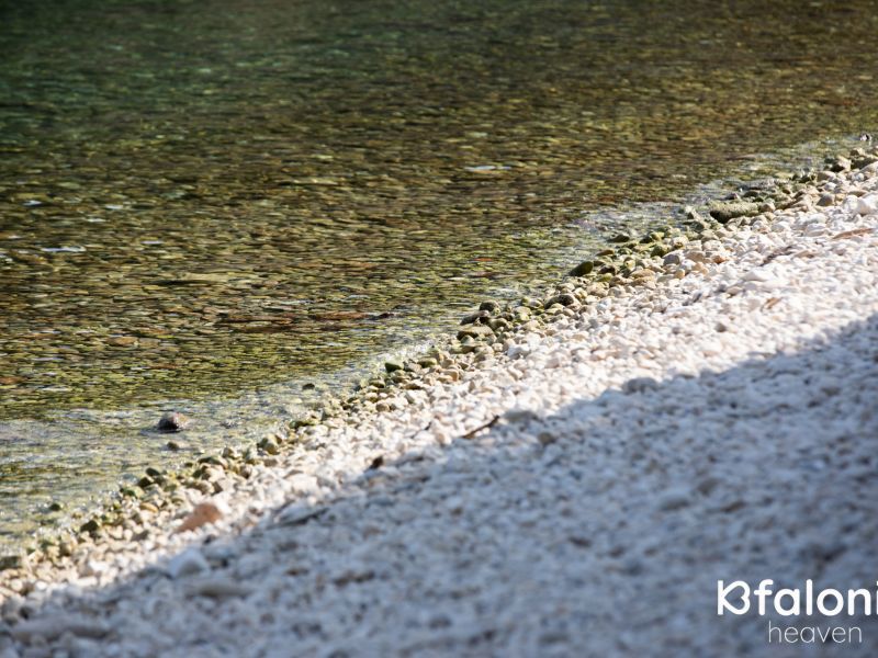 paral xorgota 14 a660de7e