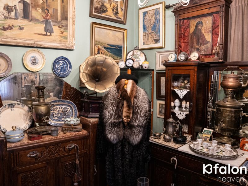 505179350 1566241924739218 1622320323341820699 n b6141a15