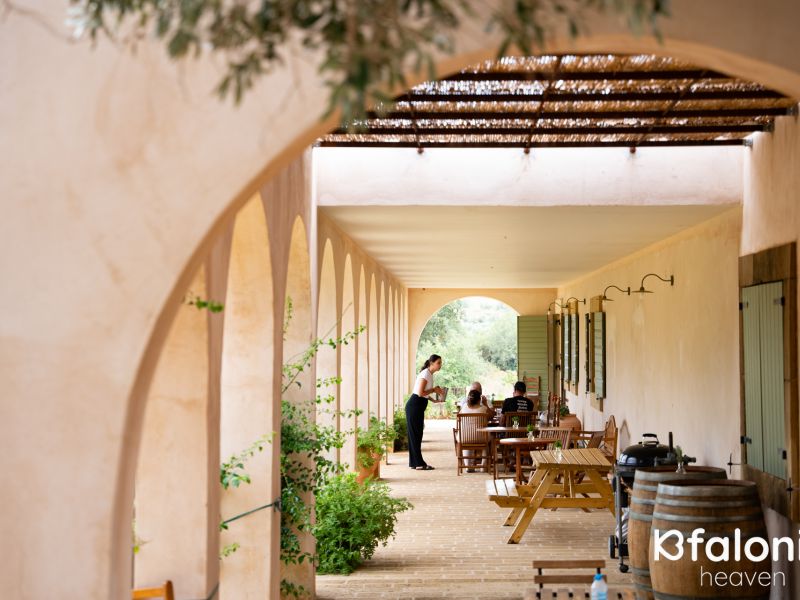 petrakopoulos 03 b68ee8d5