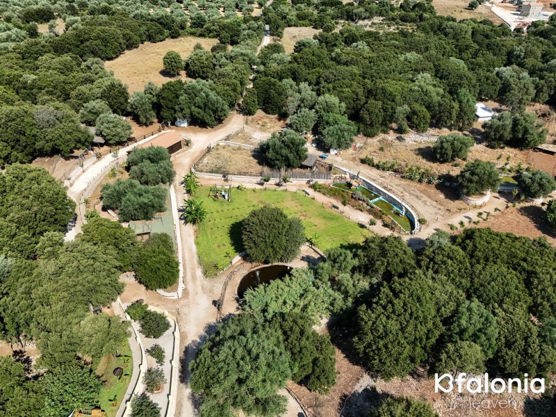 odysseas zoo land 002 bc47fd20