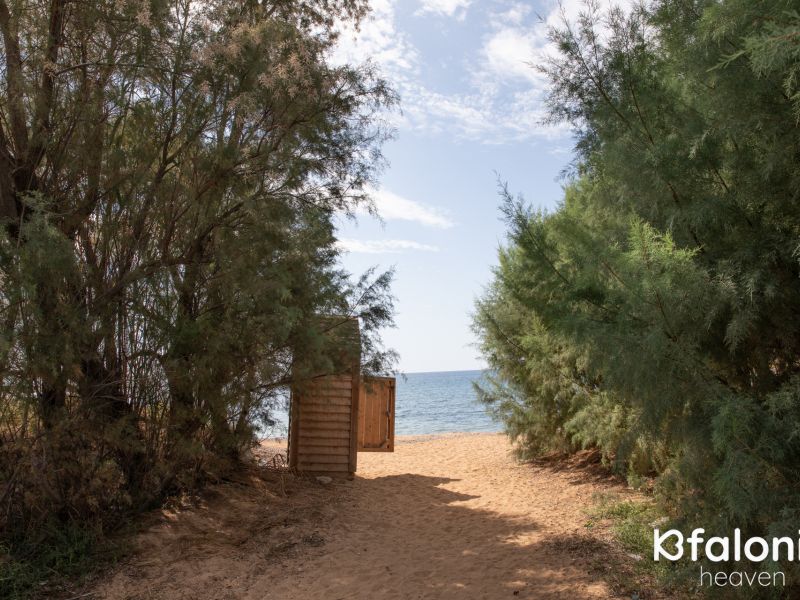 paralia vatsa 01 c5c611f0