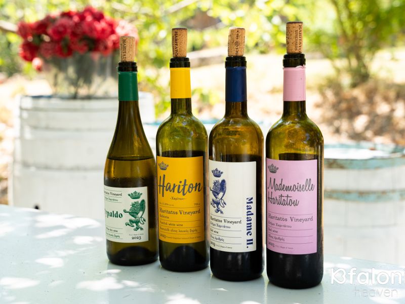 xaritatos 11 c9130270