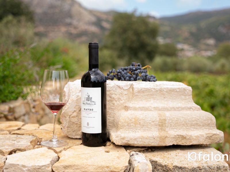 petrakopoulos 16 cc944038