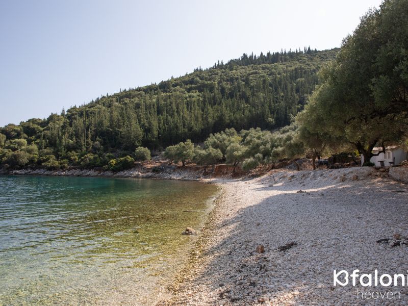 paral xorgota 09 e0fe2d80