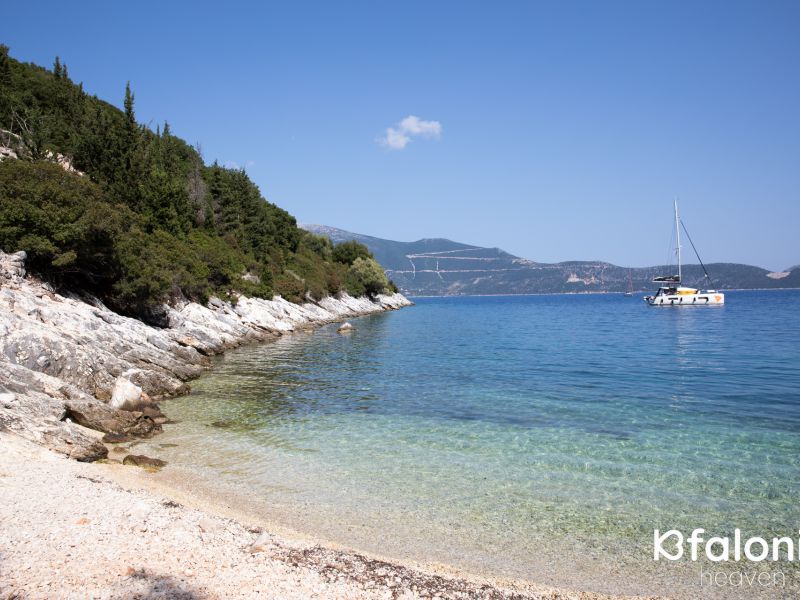 paral xorgota 11 e548e556