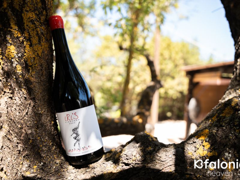 gentilini 04 e6659b46