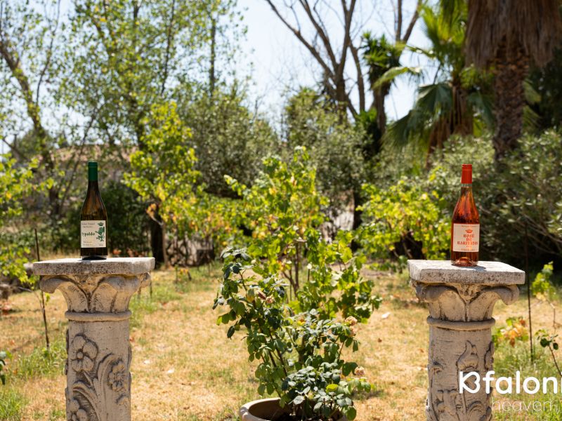 xaritatos 03 ea7f4cee