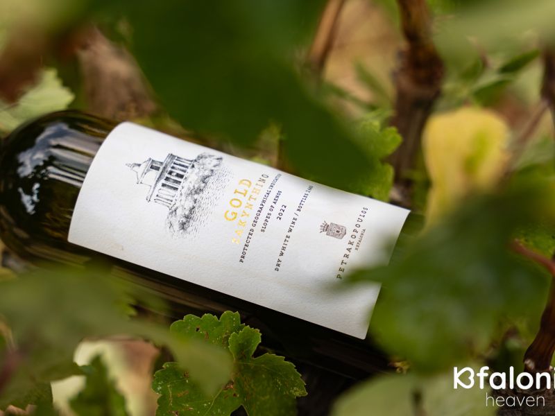 petrakopoulos 17 f36fcfee