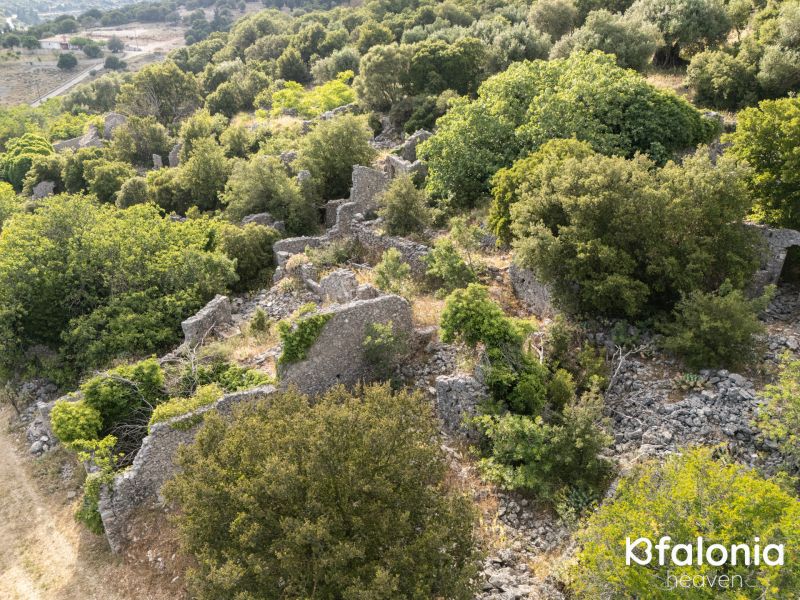 palia fragata 09 f8ddde96